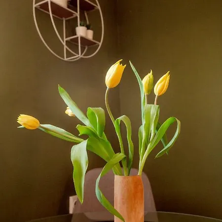 Color Downtown Apartment Bukarest