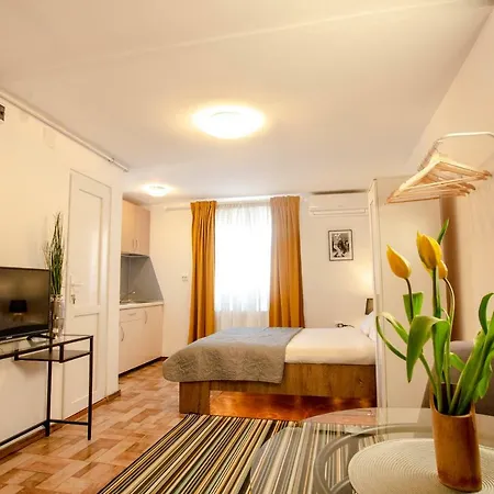 Color Downtown Apartment