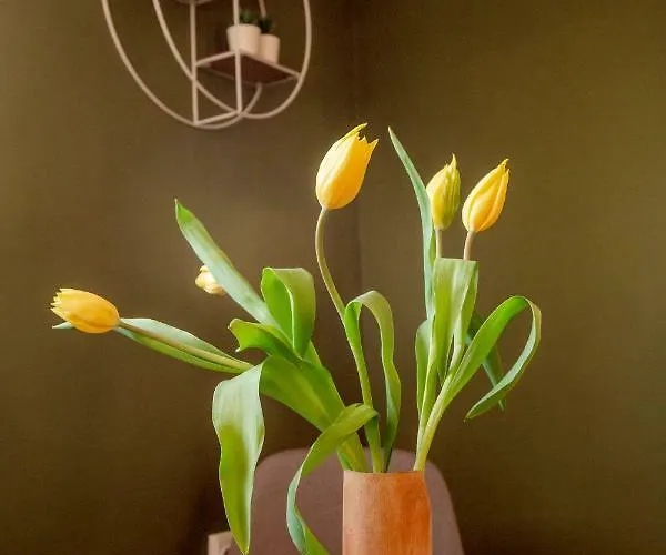 Color Downtown Διαμέρισμα Βουκουρέστι