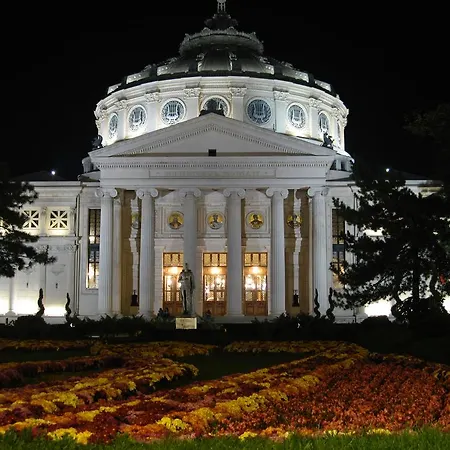 Daire Color Downtown