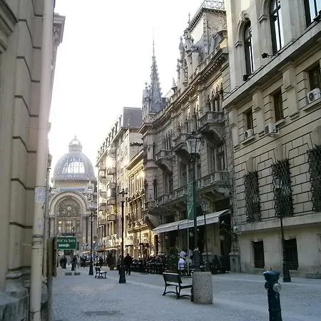 Daire Color Downtown