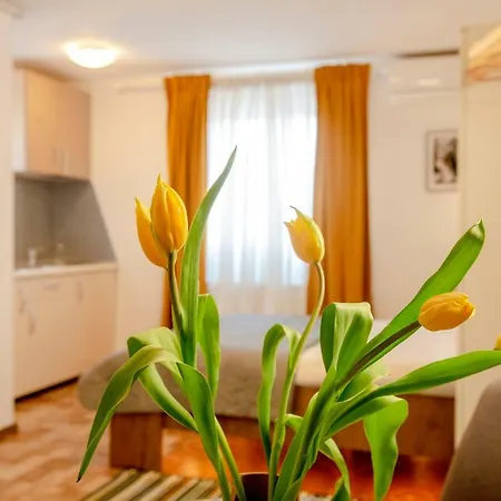 Color Downtown * Bukarest